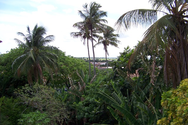 penedoklostergarten.JPG