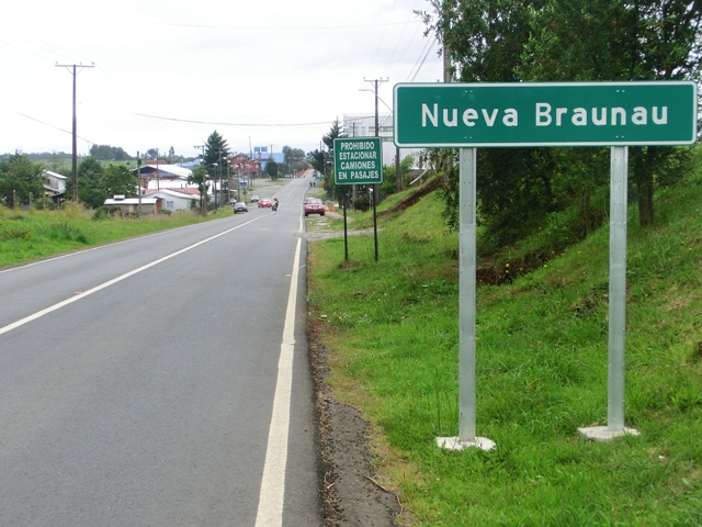 chilenuevabraunao1.jpg