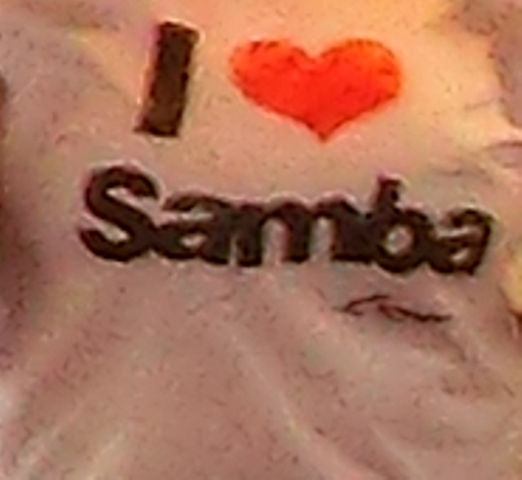 ilovesamba.jpg