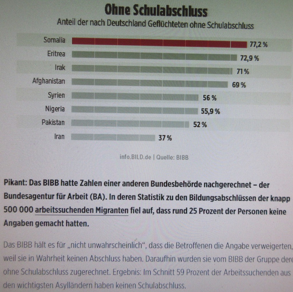 Schulabschlußohne17